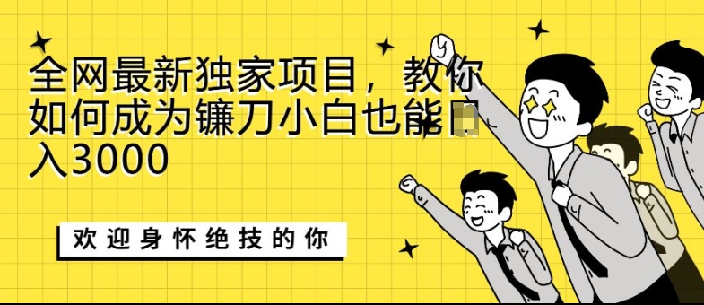 全网最新独家项目，教你如何成为镰刀小白也能日入上K-冒泡网