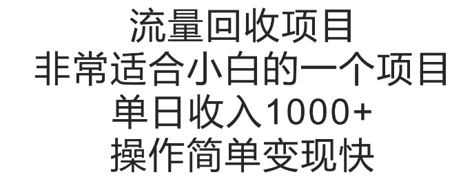 流量回收项目，非常适合小白的一个项目单日收入多张，操作简单变现快-冒泡网