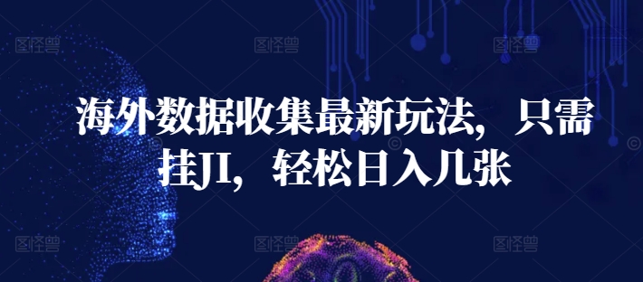 海外数据收集最新玩法，只需挂JI，轻松日入几张-冒泡网