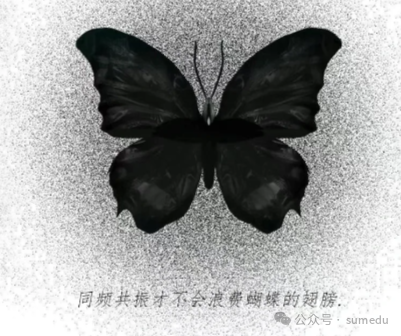 frc-33c096fe0994beb3760faea50850b734.png 冒泡网赚:抖音流量密码揭秘:9个爆款钩子引爆点赞!