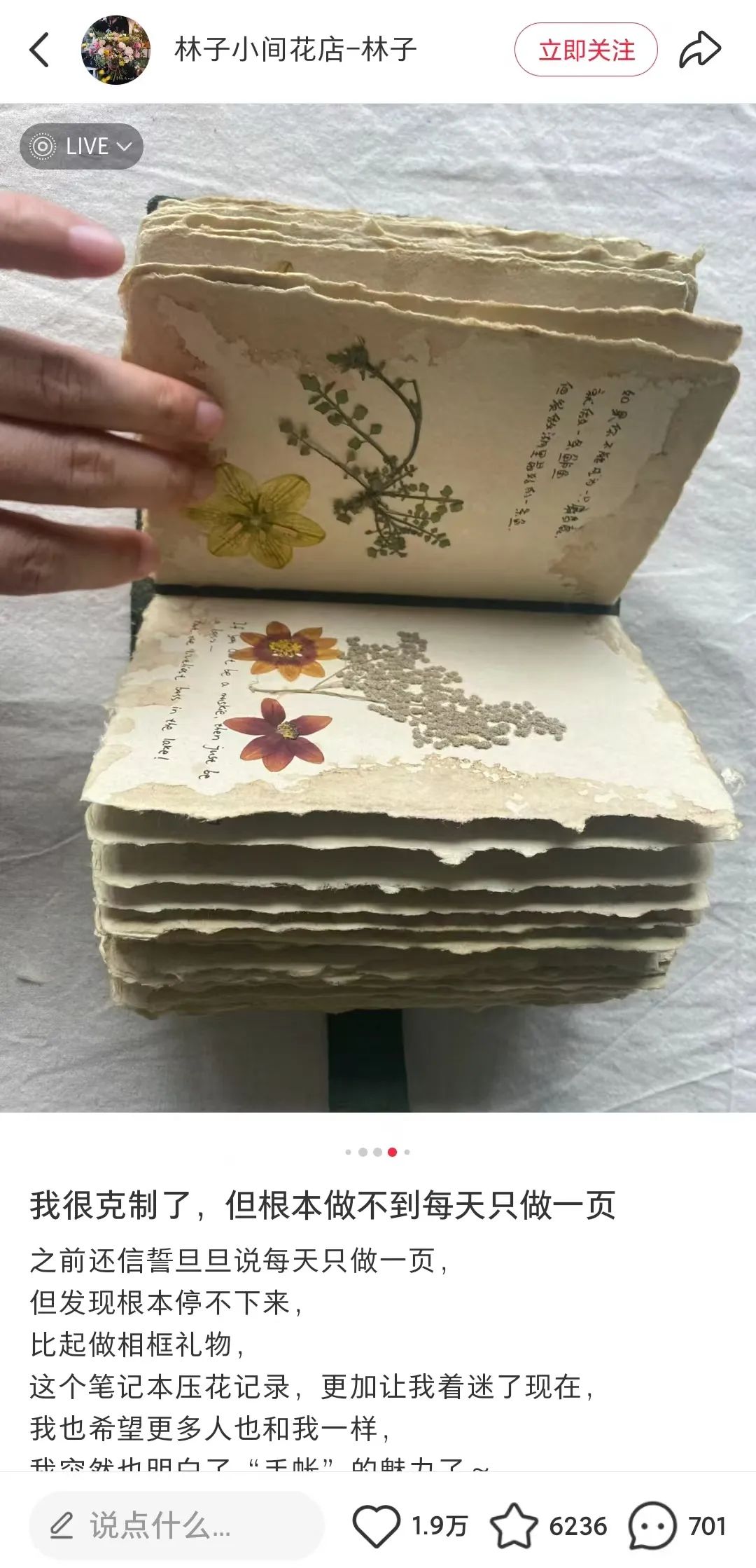 frc-37691ffcd43b3f8055b179b1fe2bd2a6.jpeg 对话林子 | 靠干花干草就能月入5w+?小红书这家手作店铺是怎么做到的?