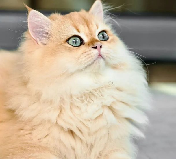 一个人就能干,比开药店还暴利,一单600-3000元,利润高达80%,有人靠它年入50万-冒泡网