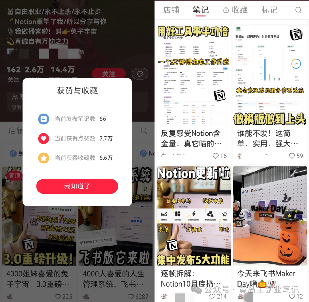 仅凭一份软件模板，轻松入账20W+！