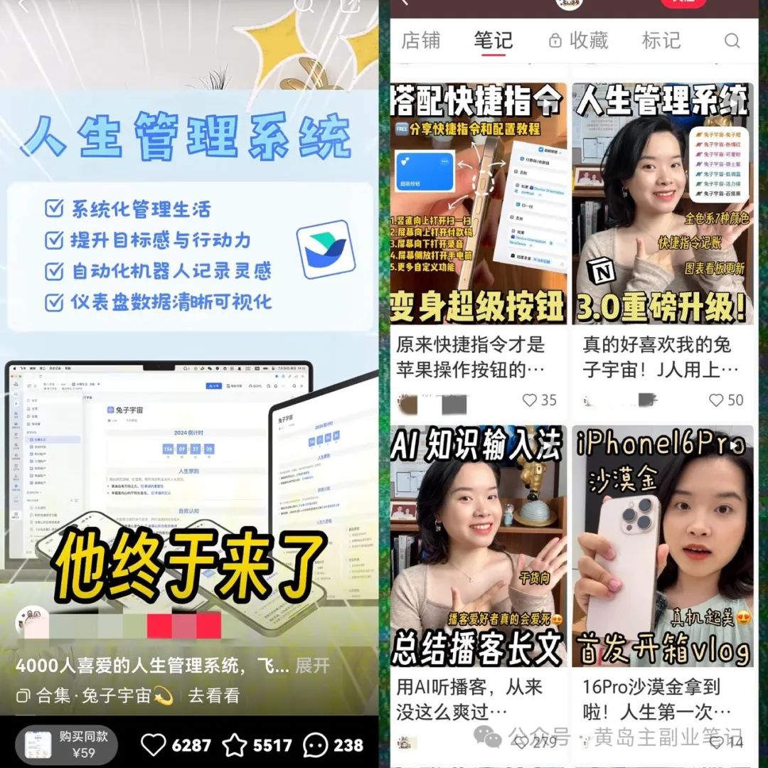 仅凭一份软件模板，轻松入账20W+！