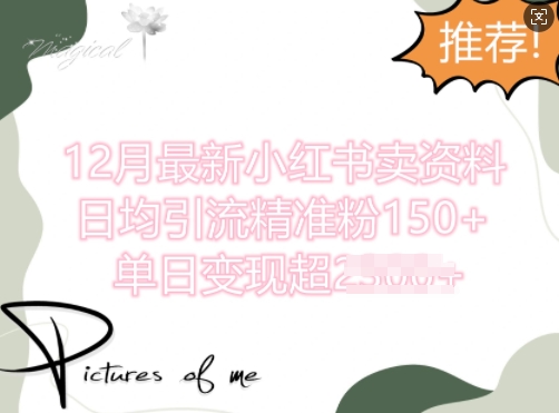 12月最新小红书日均引流精准粉100+，单日变现多张-冒泡网