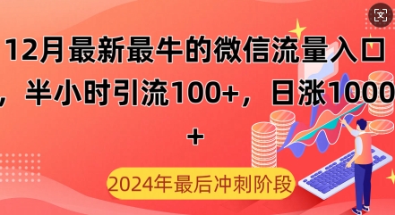 12月最新最牛的微信流量入口，半小时引流100+创业粉，日涨粉1000+-冒泡网