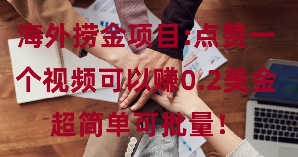 海外捞金项目点赞一个视频可以赚0.2美金，超简单可批量!-冒泡网
