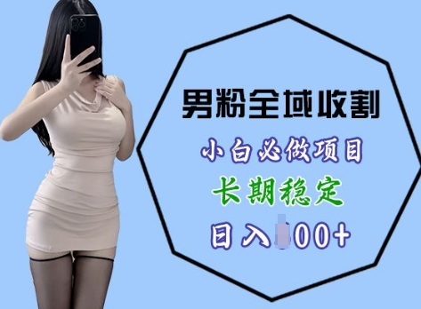 男粉项目全域收割，小白必做项目，长期稳定，稳定日入几张-冒泡网