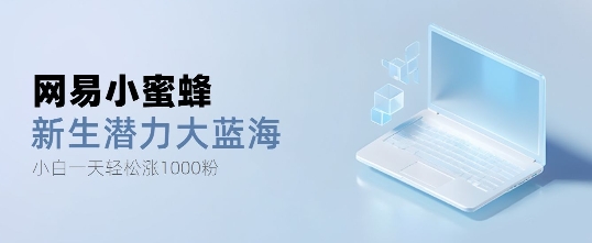 网易小蜜蜂，最新大蓝海项目，单日轻松日涨千粉-冒泡网