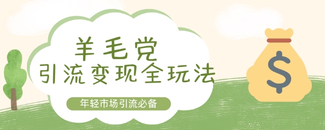 羊毛党引流变现全玩法，年轻市场引流必备-冒泡网