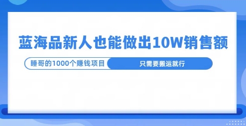 这个蓝海品，新号也能卖出10W的销售额，年底疯狂怼量就能出结果-冒泡网
