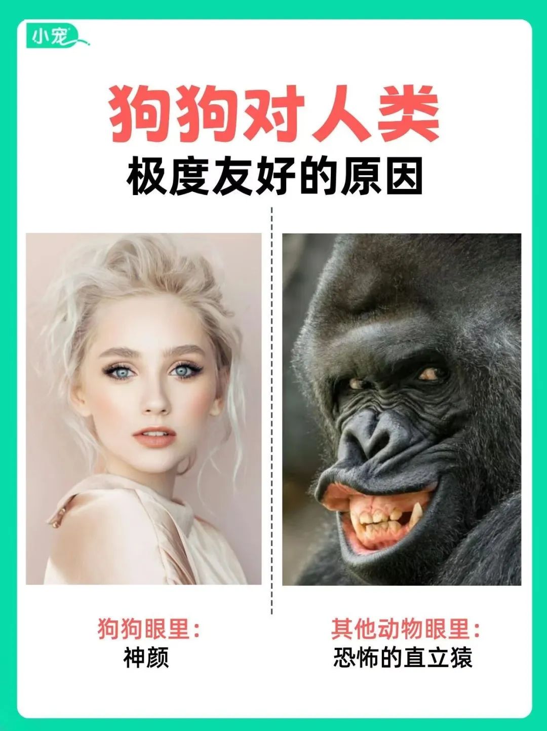 frc-a3f51723cf8b2a54259d6968507dc554.jpeg 昨日营业额764.7元,微信的这个赚小钱入口,请直接锁死!(附方法指路)