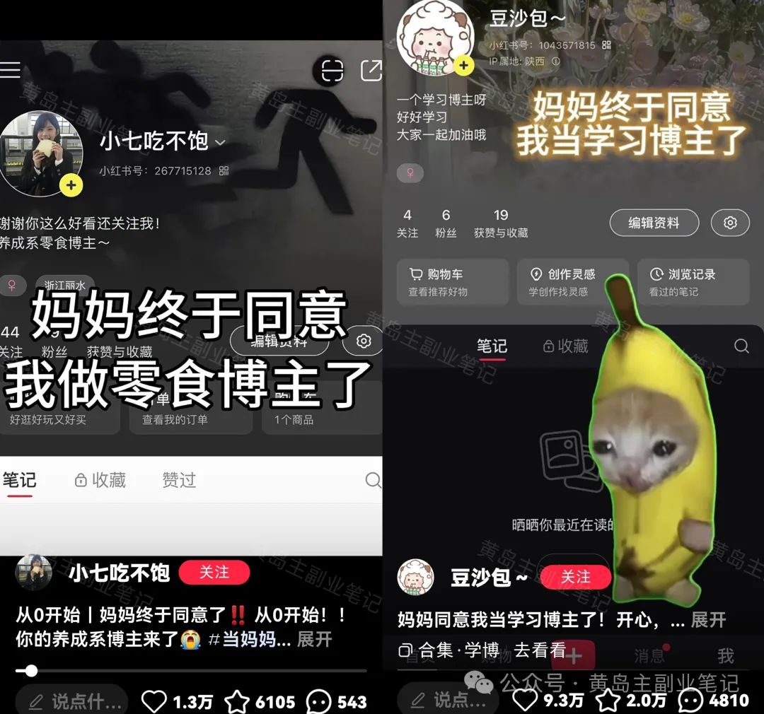 一条笔记涨粉破万，分享热门起号流量密码！-冒泡网
