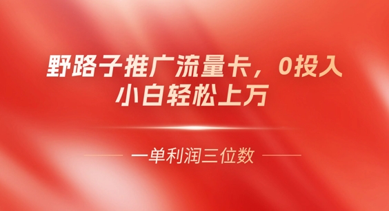 0门槛推广流量卡，一单收益上百，0投入，小白月入过W-冒泡网