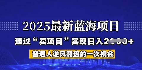 2025年首次揭秘如何通过“网创项目”日入多张【揭秘】-冒泡网