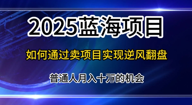 2025蓝海项目，普通人如何通过卖项目实现逆风翻盘，月入10个【揭秘】-冒泡网