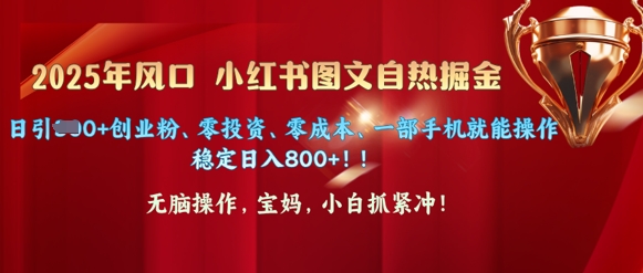 25年风口小红书图文掘金，日引300+创业粉、零投资、零成本、一部手机就能操作-冒泡网