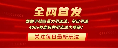 全网首发，野路子暴力引流法，单日引流400+精准粉的引流法大揭秘-冒泡网