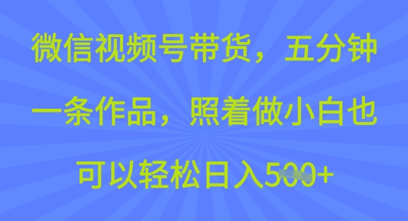 微信视频号带货，五分钟一条作品，照着做小白也可以轻松日入5张-冒泡网