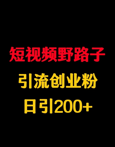 短视频野路子引流创业粉，日引200+-冒泡网