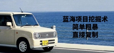 蓝海项目挖掘术，简单粗暴，直接复制-冒泡网