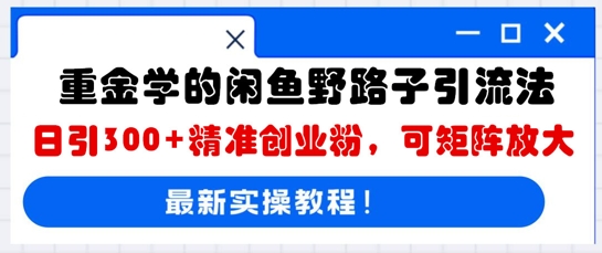 重金学的闲鱼野路子引流法，日引300+精准创业粉，可矩阵放大-冒泡网
