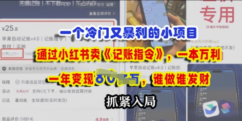 一个冷门需求，通过小红书卖《记账指令》，一本万利，谁做谁发，抓紧入局-冒泡网