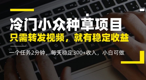 冷门小众种草项目，只需转发视频，每天就有稳定收益，无门槛，每天稳定3张+收入，小白可做-冒泡网