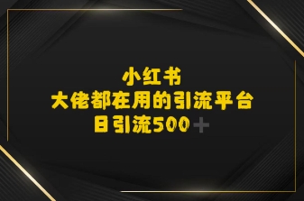 小红书，大佬都在用的大粉平台，日引流500+-冒泡网