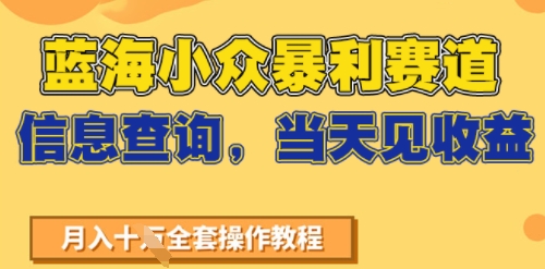 蓝海小众暴利赛道，信息查询，当天见收益，不讲玄学，7天搞了2W+-冒泡网