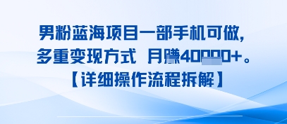 8月新男粉蓝海项目一部手机可做，多重变现方式 月入4W+【详细操作流程拆解】-冒泡网