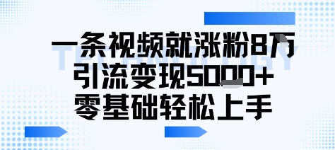 一条视频就涨粉8W引流变现5k+，0基础项目轻松上手-冒泡网