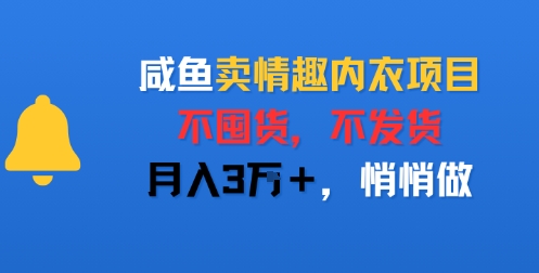 咸鱼卖情趣内衣项目，不囤货，不发货，月入3W+，悄悄做-冒泡网