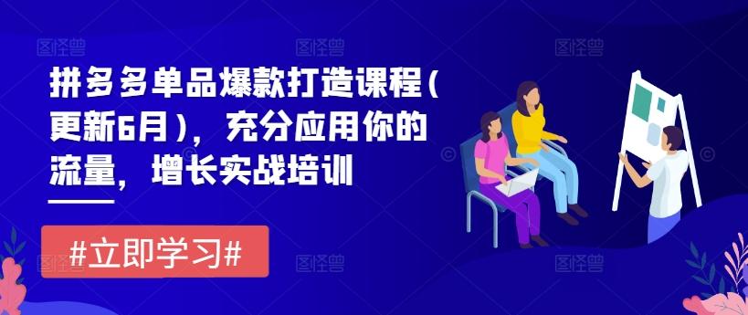 拼多多单品爆款打造课程(更新6月)，充分应用你的流量，增长实战培训-冒泡网