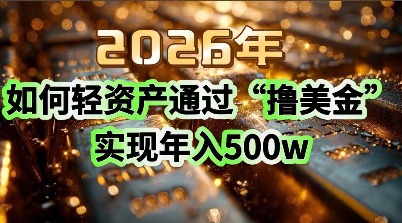 2026年如何轻资产通过“撸美金”实现年入500w-冒泡网
