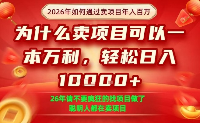 一单净利润1K+，26年想年入100个W，死磕卖项目就够了【揭秘】-冒泡网