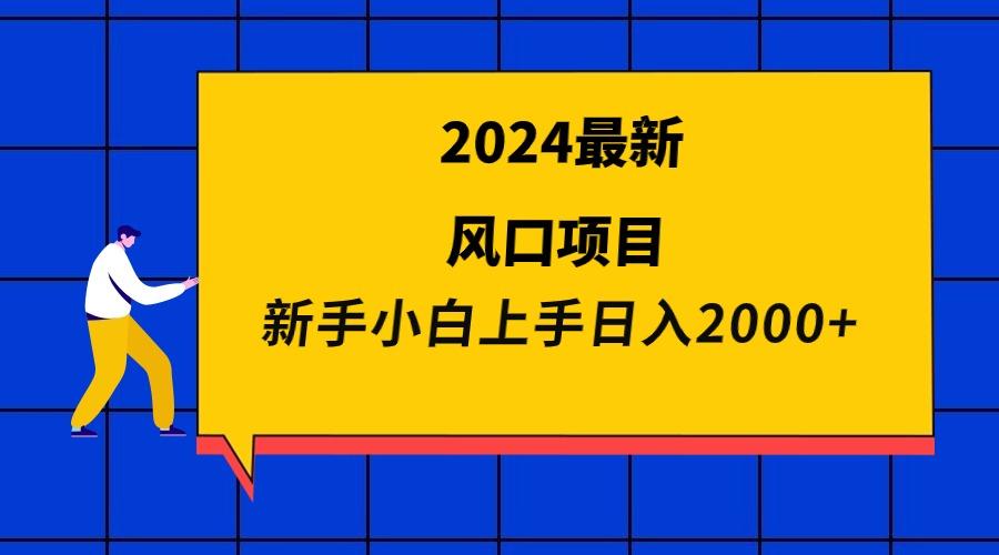 (9483期)2024最新风口项目 新手小白日入2000+-冒泡网