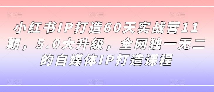 小红书IP打造60天实战营11期，5.0大升级，全网独一无二的自媒体IP打造课程-冒泡网