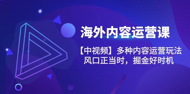 海外内容 运营课【中视频】多种内容运营玩法 风口正当时 掘金好时机-101节-冒泡网