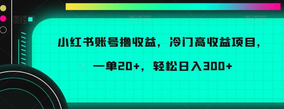小红书账号撸收益，冷门高收益项目，一单20+，轻松日入300+【揭秘】-冒泡网