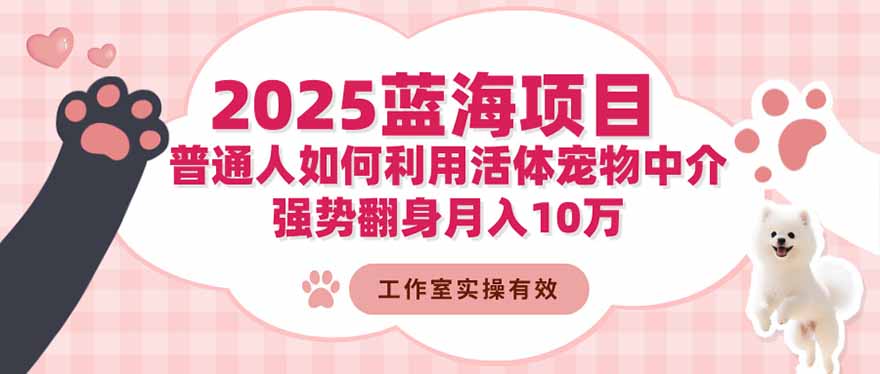 2025蓝海项目:普通人如何利用活体宠物中介,强势翻身月入10万-冒泡网