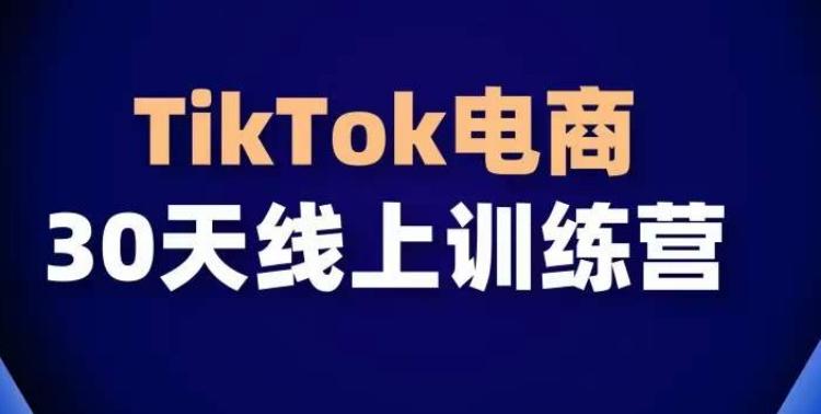 TikTok电商带货30天线上课，不可错过的全球流量洼地！-冒泡网