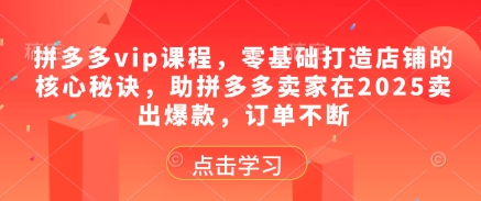 拼多多vip课程，零基础打造店铺的核心秘诀，助拼多多卖家在2025卖出爆款，订单不断-冒泡网