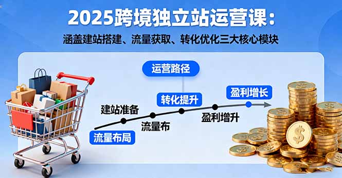 2025跨境独立站运营课：涵盖建站搭建、流量获取、转化优化三大核心模块-冒泡网