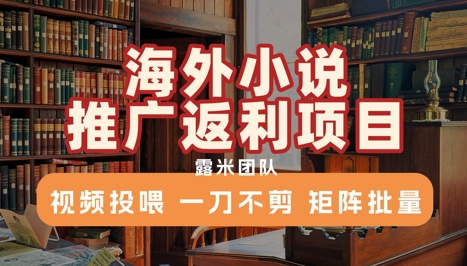 海外小说推广返利项目，视频投喂， 一刀不剪，矩阵批量-冒泡网