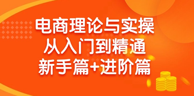 (9576期)电商理论与实操从入门到精通 新手篇+进阶篇-冒泡网