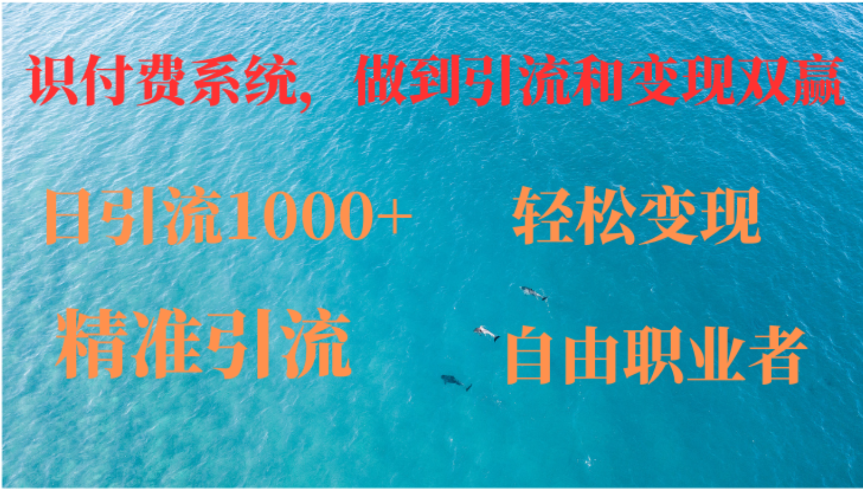如何搭建自己的知识付费系统，做到引流和变现双赢-冒泡网