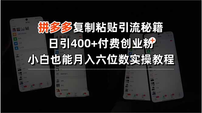 拼多多复制粘贴引流秘籍，日引400+付费创业粉，小白也能月入六位数实操…-冒泡网