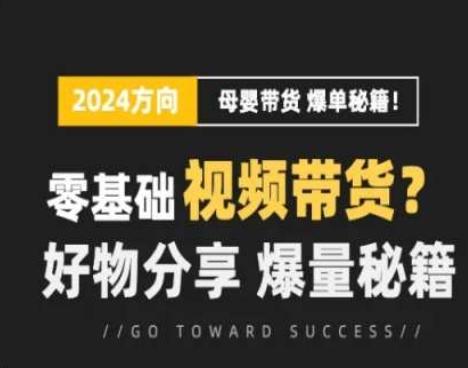 短视频母婴赛道实操流量训练营，零基础视频带货，好物分享，爆量秘籍-冒泡网