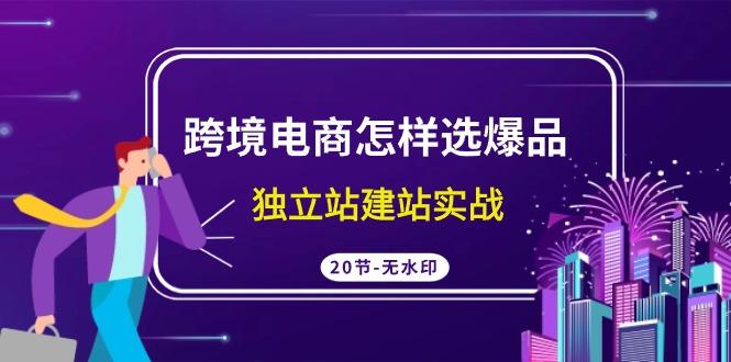 (9369期)跨境电商怎样选爆品，独立站建站实战(20节高清无水印课)-冒泡网
